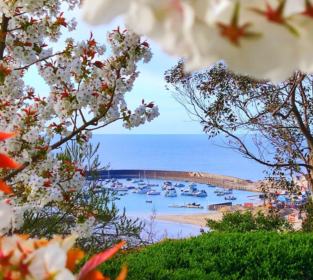 Seabreeze Apartamento Lyme Regis Exterior foto